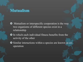  Mutualism or interspecific cooperation is the way
two organisms of different species exist in a
relationship
 In which each individual fitness benefits from the
activity of the other
 Similar interactions within a species are known as co-
operation
 