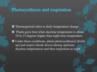  Thermoperiod refers to daily temperature change
 Plants grow best when daytime temperature is about
10 to 15 degrees higher than night time temperature
 Under these conditions, plants photosynthesize (build
up) and respire (break down) during optimum
daytime temperatures and then respiration at night
 