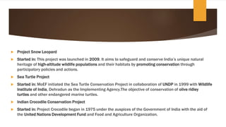 Undp Turtle Project ENVIRONMENTAL PLANNING A BRIEF DECRIPTION OF ENVIRONMENTAL POLICIES IN ...