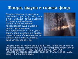 7
ФлораФлора, фауна и горски фонд, фауна и горски фонд
Разпространени са чистите иРазпространени са чистите и
смесените гори от бук, бор, ела,смесените гори от бук, бор, ела,
смърч, цер, дъб, габър и други.смърч, цер, дъб, габър и други.
В горите и обособенитеВ горите и обособените
ловностопанскиловностопански районирайони
преобладават едър и дребенпреобладават едър и дребен
дивеч, представен отдивеч, представен от
благороден елен, сърна, диваблагороден елен, сърна, дива
свиня, заек, и различни видовесвиня, заек, и различни видове
пернат дивеч. От хищниците сепернат дивеч. От хищниците се
срещат вълк, чакал, лисица,срещат вълк, чакал, лисица,
дива котка, белка и др.дива котка, белка и др.
Общата площ на горския фонд е 29 303 дка, 16 296 дка от него са
общински. Горите заемат около 60% от територията. Около 79% от
тях са широколистни (39% - бук, дъб и габър - 29%). От
иглолистните гори преобладават бял бор - 11.3%, чер бор - 9.5%,
смърч - 5.7%, и 5.5% други.
Флора и фауна
Разпространени са най-вече чистите и смесените гори от бук, бор, ела, смърч, цер,
дъб, габър и други. Срещат се и горун, ясен, брястове, върби, тополи. В горите и
обособените ловностопански райони преобладават едър и дребен дивеч, представен от
благороден елен, сърна, дива свиня, заек, и различни видове пернат дивеч. От
хищниците се срещат вълк, чакал, лисица, дива котка, белка и др.
Горски фонд
Общата площ на горския фонд е 29 303 дка, като 16 296 дка от него са общински
фонд. Горите заемат около 60% от територията на общината. Около 79% от тях са
широколистни, 39% е делът на бука, следват дъбът и габърът - 29%. От иглолистните
гори преобладават бял бор - 11.3%, чер бор - 9.5%, смърч - 5.7%, и 5.5% други.
З а щи т е н и о б е к т и
Голямата топола (бяла топола) - намира се в местността Шатова нива в землището
на гр. Твърдица. Заема площ 0.1 ха, височината й е 29 метра, обиколката на стъблото -
7.30 м. Предполагаема възраст - над 100 години, надморска височина - 300 м. Обявена е
за защитен обект, за да се запази внушителният по размерите си представител на Ponus
alba.
Обект Тиса - площ 4.0 ха, надморска височина 1100 м. Намира се в землището на с.
Боров дол. Представлява двуетажно буково-тисово насаждение. Първи етаж - бук с
височина 23 м и диаметър на ствола 30 см; втори етаж - тис с височина 6 м и диаметър
10 см. Животинският свят в местността е представен от благороден елен и сърна. Това е
единственото запазено за района находище от тис (Taxus baccta).
 