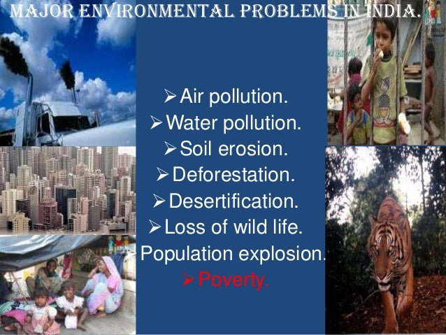Environmental problems india essays on love