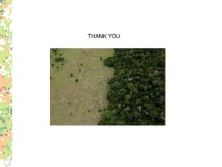 Environmental policy’s new role in the Brazilian Amazon