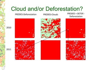 Environmental policy’s new role in the Brazilian Amazon