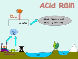 Acid Rain
SO2 &
NOX
+water
SEASea
Lake
Factories,
Transportation
Solar
Radiation
H2SO4 (Sulphuric Acid)
HNO3 (Nitric Acid)
 