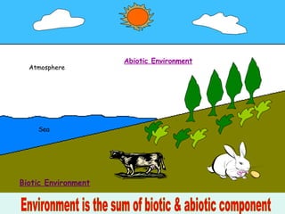 Atmosphere
Sea
Abiotic Environment
Biotic Environment
 