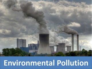 Environmental Pollution
 