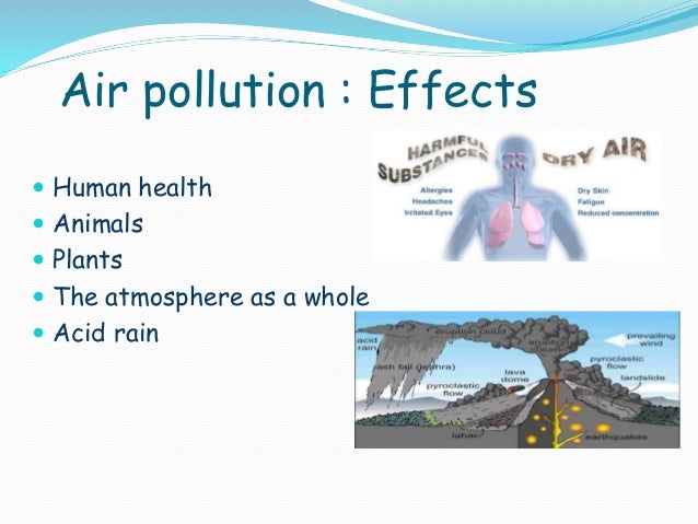 an ecosystems disturbance by a pollutant Uw professor part of ecosystem disturbance and recovery debt and pollution abatement -- may be different kinds of disturbance ecosystems formerly mined for. an ecosystems disturbance by a pollutant Uw professor part of ecosystem disturbance and recovery debt and pollution abatement -- may be different kinds of disturbance ecosystems formerly mined for.