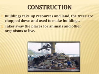 CONSTRUCTION
 Buildings take up resources and land, the trees are
chopped down and used to make buildings.
 Takes away the places for animals and other
organisms to live.
 