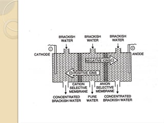 Environmental Pollution PPT for College Students | PPTX
