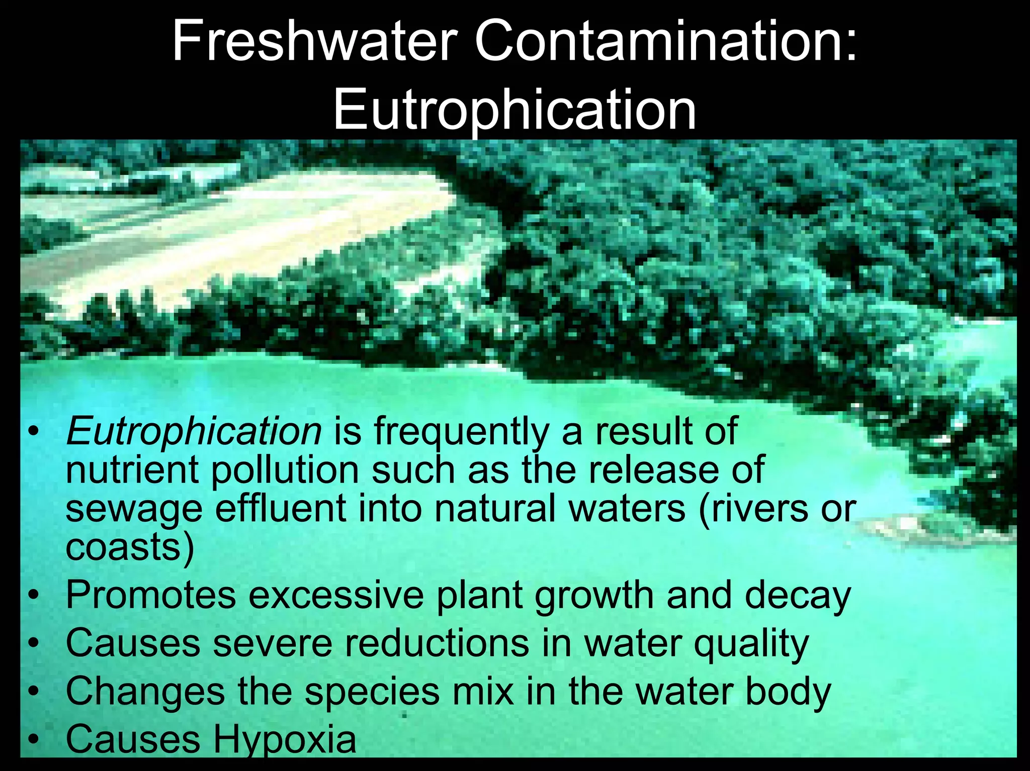 Freshwater Contamination:
Eutrophication

• Eutrophication is frequently a result of
nutrient pollution such as the release of
sewage effluent into natural waters (rivers or
coasts)
• Promotes excessive plant growth and decay
• Causes severe reductions in water quality
• Changes the species mix in the water body
• Causes Hypoxia

 