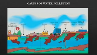 CAUSES OF WATER POLLUTION
! Inorganic plant nutrients:
" These are water soluble nitrates and phosphates that cause excess...