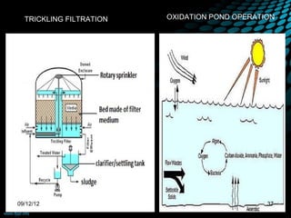 TRICKLING FILTRATION   OXIDATION POND OPERATION




09/12/12                                       37
 