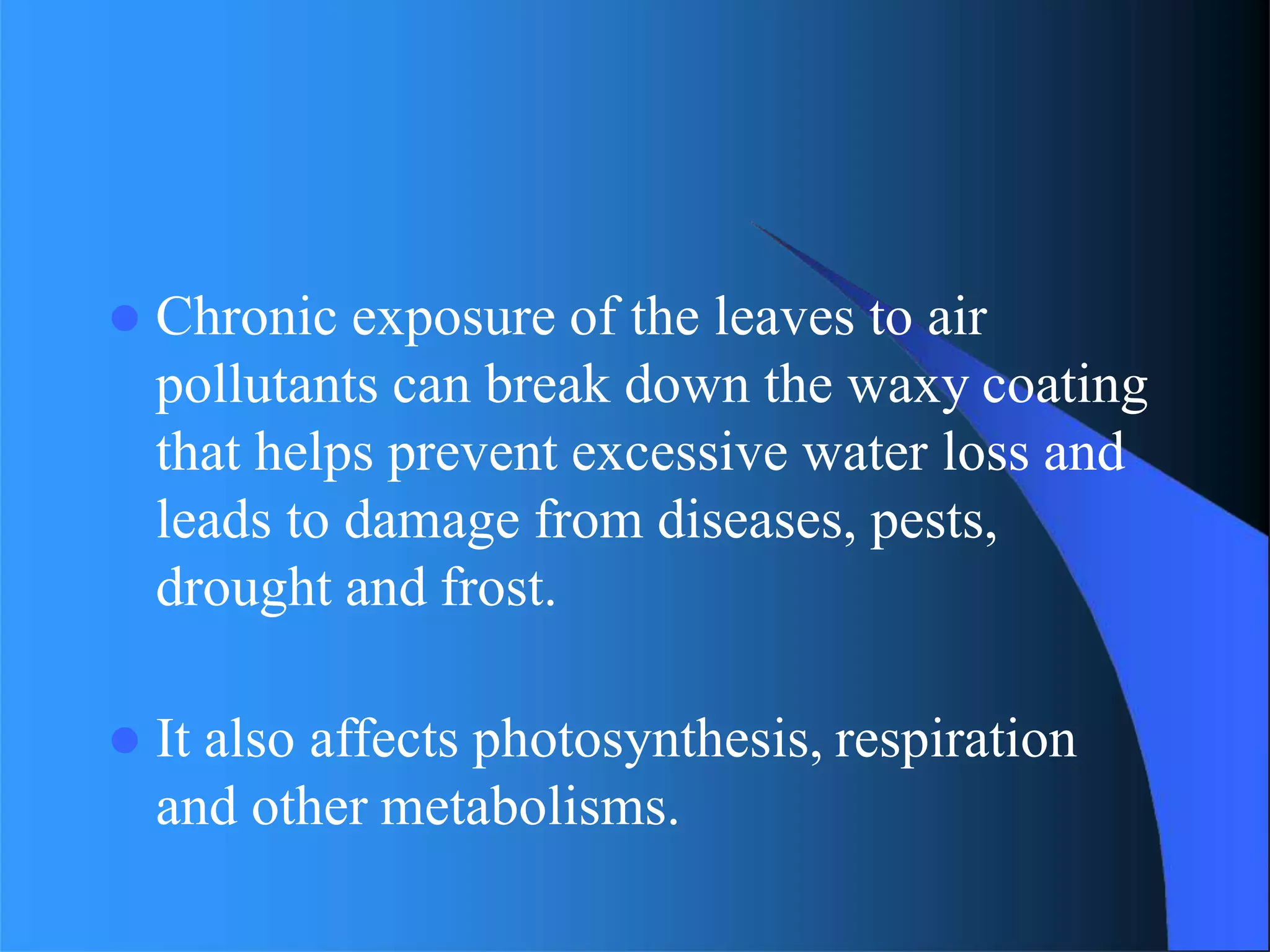  Chronic exposure of the leaves to air
pollutants can break down the waxy coating
that helps prevent excessive water loss and
leads to damage from diseases, pests,
drought and frost.
 It also affects photosynthesis, respiration
and other metabolisms.
 