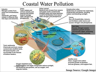 Industry
Nitrogen oxides from
autos and smokestacks;
toxic
chemicals, and heavy
metals in effluents flow
into bays and estuaries.
Cities
Toxic metals and
oil from streets and
parking lots pollute
waters; sewage
adds nitrogen and
phosphorus.
Urban sprawl
Bacteria and viruses from sewers
and septic tanks contaminate
shellfish beds and close beaches;
runoff of fertilization from lawns
adds nitrogen and phosphorus.
Construction sites
Sediments are washed into waterways,
choking fish and plants, clouding
waters, and blocking sunlight.
Farms
Run off of pesticides, manure,
and fertilizers adds toxins and
excess nitrogen and phosphorus.
Red tides
Excess nitrogen causes
explosive growth of toxic
microscopic algae, poisoning
fish and marine mammals.
Healthy zone
Clear, oxygen-rich waters
promote growth of plankton
and sea grasses, and support fish.
Toxic sediments
Chemicals and toxic metals
contaminate shellfish beds,
kill spawning fish, and
accumulate in the tissues
of bottom feeders.
Closed
shellfish beds
Closed
beach Oxygen-depleted
zone
Coastal Water Pollution
Oxygen-depleted zone
Sedimentation and algae overgrowth reduce sunlight,
kill beneficial sea grasses, use up oxygen, and
degrade habitat.
Image Source: Google images
 