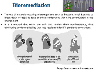 • The use of naturally occuring microorganisms such as bacteria, fungi & plants to
break down or degrade toxic chemical compounds that have accumulated in the
environment
• It is a method that treats the soils and renders them non-hazardous, thus
eliminating any future liability that may result from landfill problems or violations.
Image Source: www.scienceart.com
 