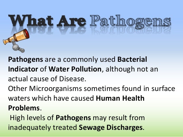 What Compounds Are Found In Natural Waters What Compounds Are Found In Natural Waters