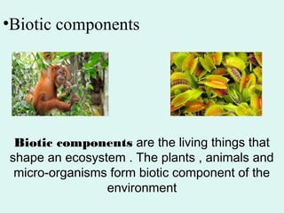 •Biotic components
Biotic components are the living things that
shape an ecosystem . The plants , animals and
micro-organisms form biotic component of the
environment
 