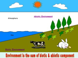 Atmosphere
Sea
Abiotic Environment
Biotic Environment
 