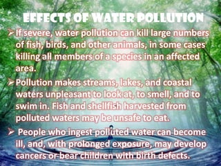 Effects Of Water Pollution
If severe, water pollution can kill large numbers
 of fish, birds, and other animals, in some cases
 killing all members of a species in an affected
 area.
Pollution makes streams, lakes, and coastal
 waters unpleasant to look at, to smell, and to
 swim in. Fish and shellfish harvested from
 polluted waters may be unsafe to eat.
 People who ingest polluted water can become
 ill, and, with prolonged exposure, may develop
 cancers or bear children with birth defects.
 