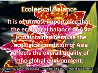Ecological Balance
It is of utmost importance that
  the ecological balance of Asia
    is maintained because the
    ecological condition of Asia
   affects the overall quality of
      the global environment.
 