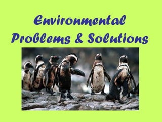 Environmental
Problems & Solutions
 