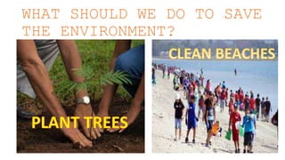 WHAT SHOULD WE DO TO SAVE
THE ENVIRONMENT?
 