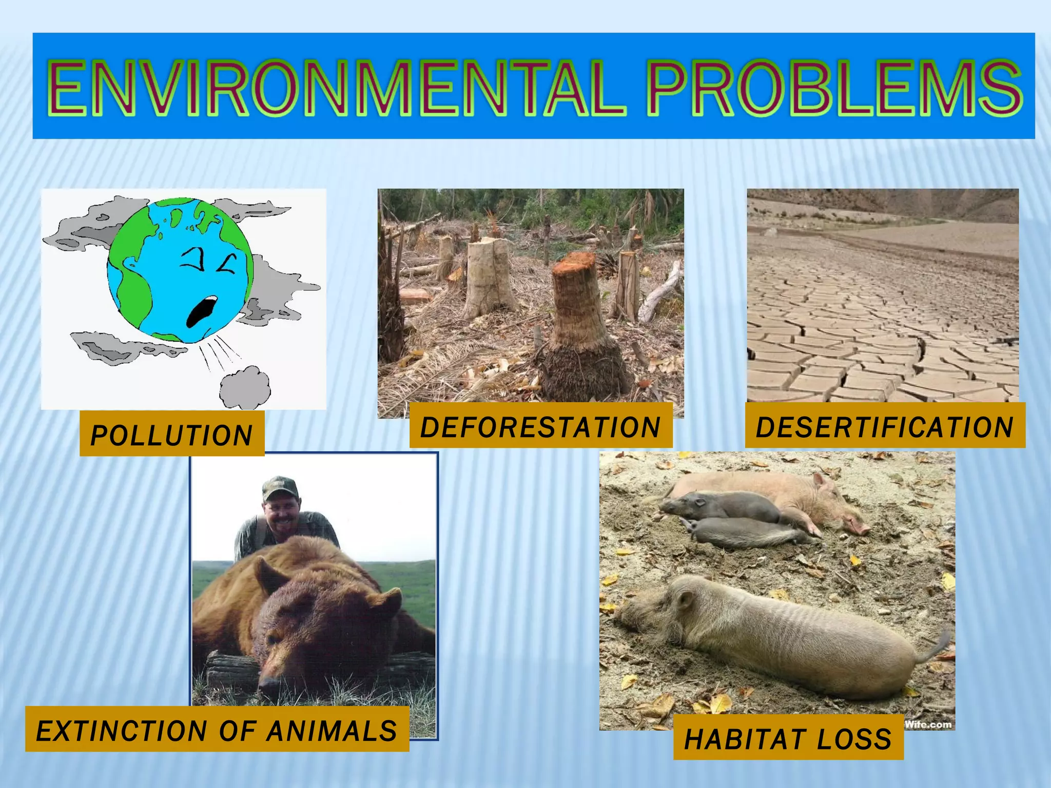 POLLUTION DEFORESTATION DESERTIFICATION EXTINCTION OF ANIMALS HABITAT LOSS 