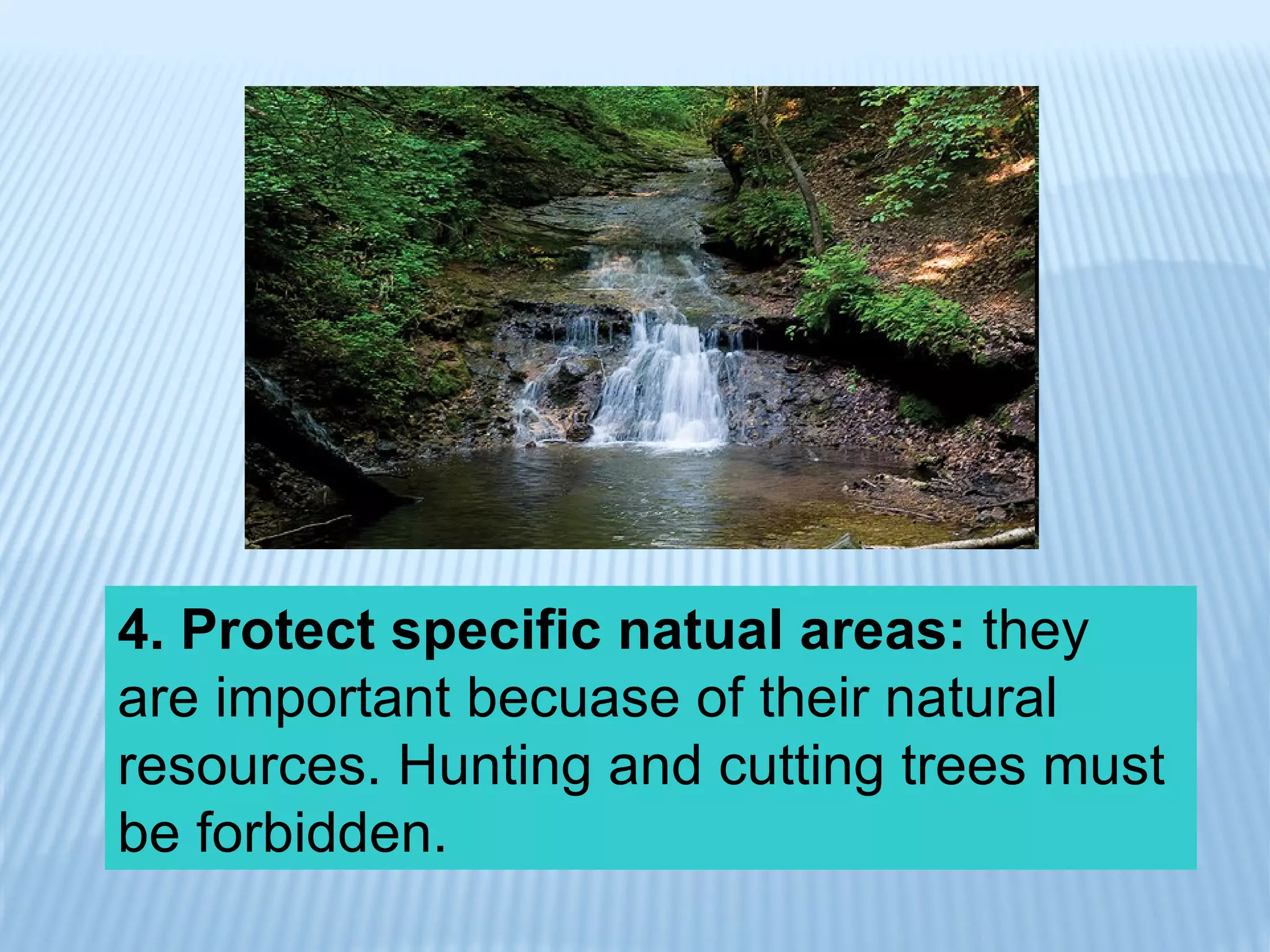 4. Protect specific natual areas:  they are important becuase of their natural resources. Hunting and cutting trees must be forbidden. 