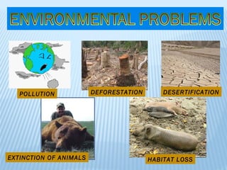 POLLUTION DEFORESTATION DESERTIFICATION EXTINCTION OF ANIMALS HABITAT LOSS 