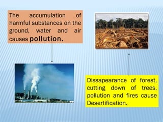 The accumulation of harmful substances on the ground, water and air causes  pollution. Dissapearance of forest, cutting down of trees, pollution and fires cause Desertification. 