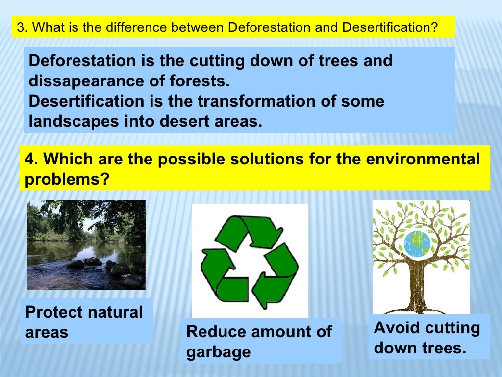 Ecology vocabulary