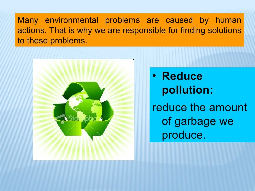 Environmental problems essay