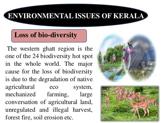 Environmental problems of kerala