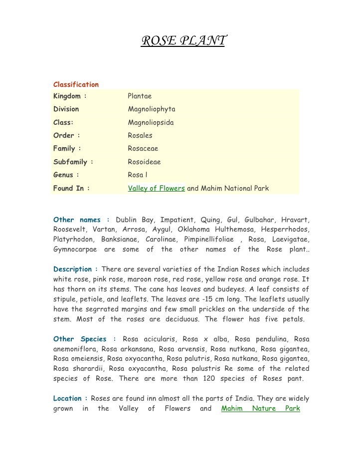 Mahim Nature Park Methodology Mahim Nature Park Methodology