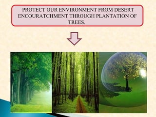 PROTECT OUR ENVIRONMENT FROM DESERT ENCOURATCHMENT THROUGH PLANTATION OF TREES.  
