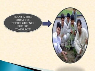 PLANT A TREE TODAY FOR BETTER GREENER FUTURE  TOMORROW 