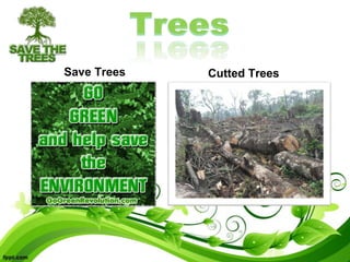 Save Trees Cutted Trees
 