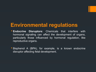 Environmental regulations in normal development.pptx