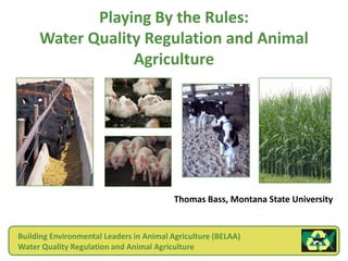 Playing By the Rules:
     Water Quality Regulation and Animal
                 Agriculture




                                          Thomas Bass, Montana State University


Building Environmental Leaders in Animal Agriculture (BELAA)
Water Quality Regulation and Animal Agriculture
 