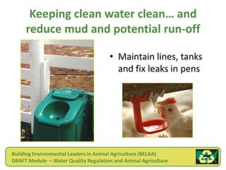 Keeping clean water clean… and
       reduce mud and potential run-off

                                        • Maintain lines, tanks
                                          and fix leaks in pens




  Building Environmental Leaders in Animal Agriculture (BELAA)
  DRAFT Module – Water Quality Regulation and Animal Agriculture
Animal Feeding Operations
 