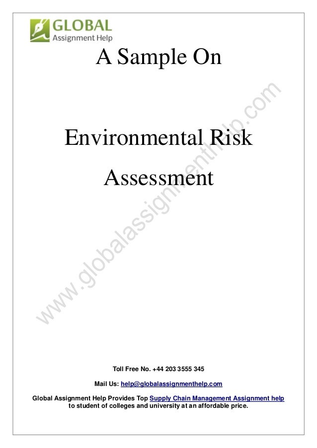 essay about assessment work immersion importance