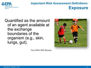 17
Iowa City, IA October 2, 2017
Important Risk Assessment Definitions:
Exposure
Quantified as the amount
of an agent available at
the exchange
boundaries of the
organism (e.g., skin,
lungs, gut).
From EPA’s IRIS Glossary
 