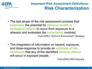 Environmental Risk Assessment in the EIA.pptx