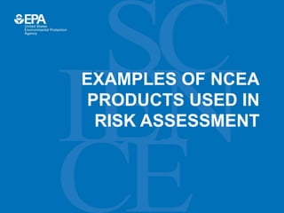 EXAMPLES OF NCEA
PRODUCTS USED IN
RISK ASSESSMENT
 
