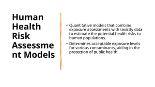 Environmental Risk Assessment Process.pptx