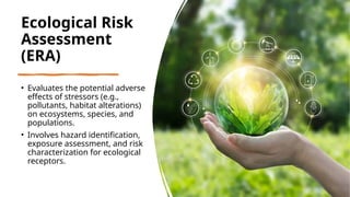Managing Environmental Risks Environmental Risk Assessment Process.pptx