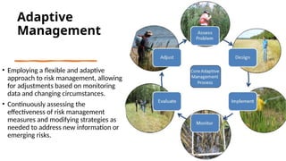 Environmental Risk Assessment Process.pptx