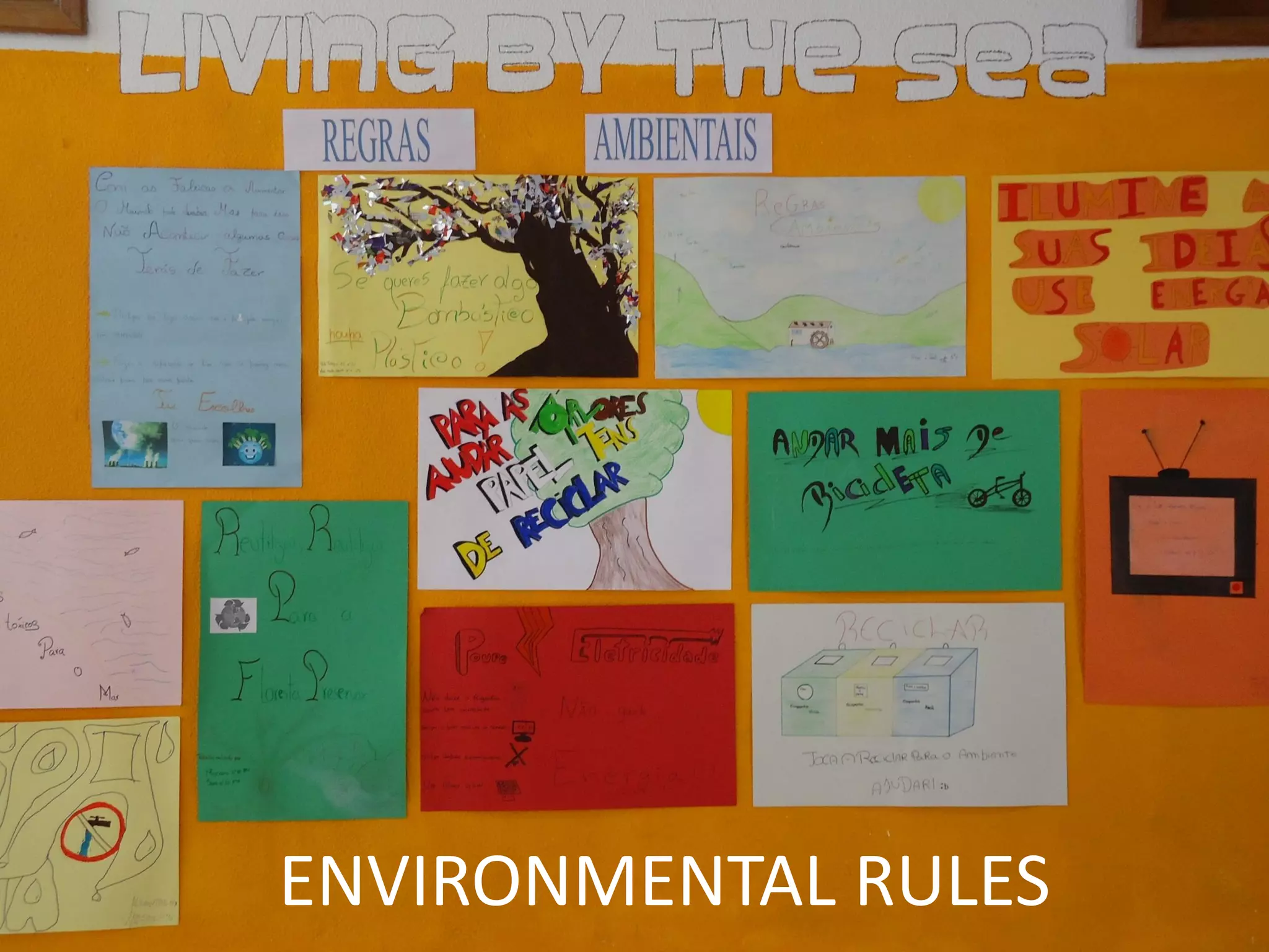 ENVIRONMENTAL RULES