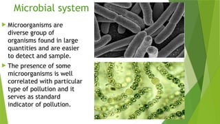 Environmental Sampling-Biomonitoring.pptx