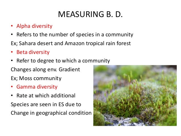 Multidisciplinary Nature Of Environmental Science Definition Multidisciplinary Nature Of Environmental Science Definition